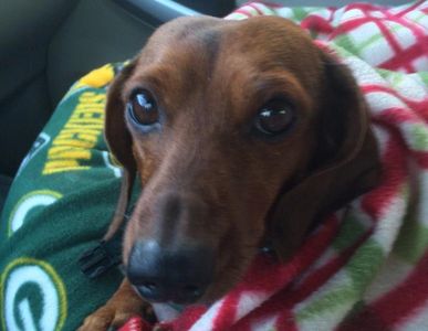 Overview of Hotdoghill Sanctuary