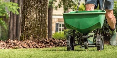 lawn care, watson turf solutions, landscaping, lawn care phillips, lawn care grand island