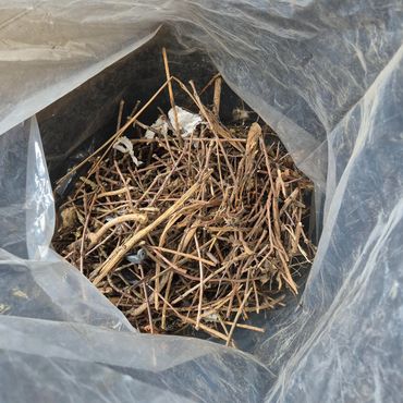 Birds nest removed Wirral