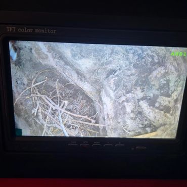 chimney cctv camera and birds nest removed from a chimney in heswall, wirral