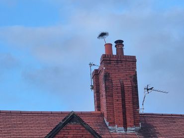 sean the sweep Wallasey