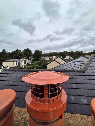 bird cowl fitted neston