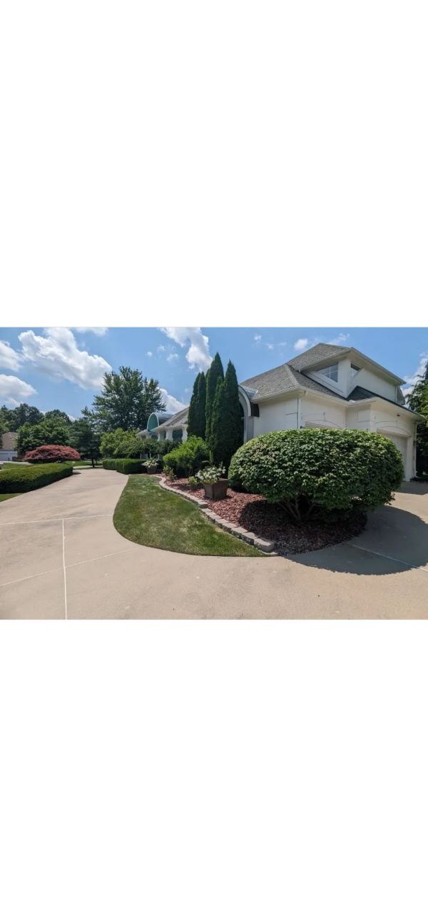Sunny driveway with manicured bushes and trees beside a white house.