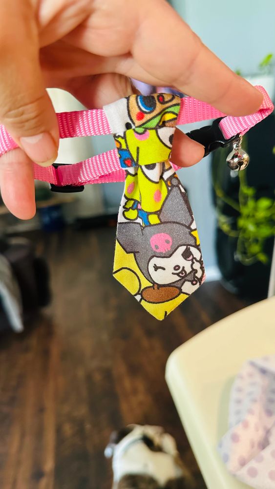 Slip it on, show it off—pet ties made for style and personality.