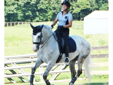 Barbara Foose, Massage Therapist-Albion-Fabrento-Dressage-Saddle