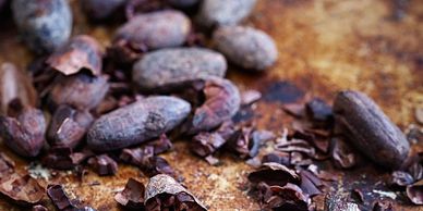 Roasted Cocoa Beans