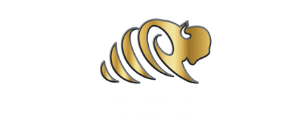 Promoting Buffalo