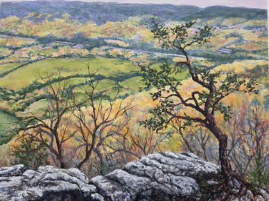 Scenic hilltop view with rocky foreground and trees.