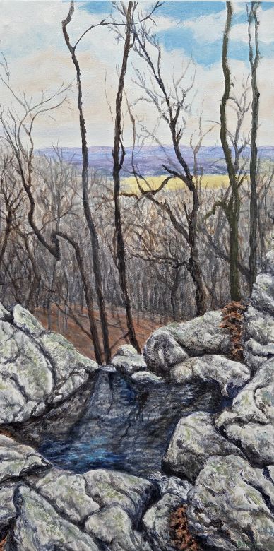 A quiet forest scene with a small pool of water among rocky terrain.