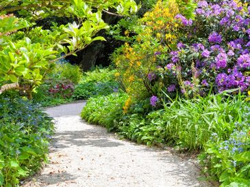 clamshell landscaping beds