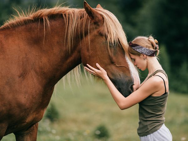 Girl bonding with a therapy horse.