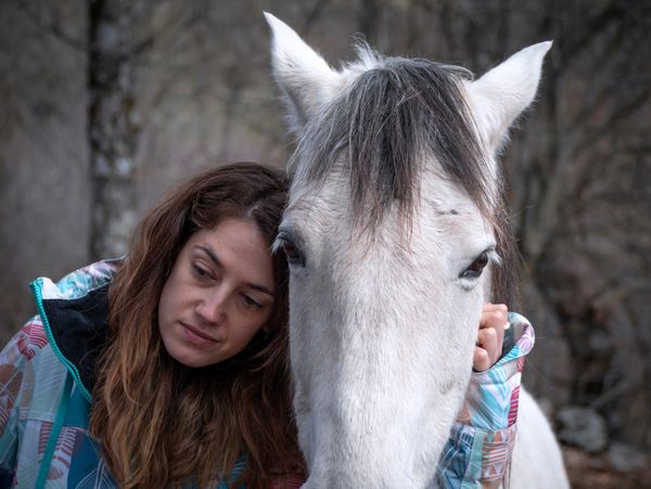 Sad Woman bonding with therapy horse with her head resting on the horse
s head.