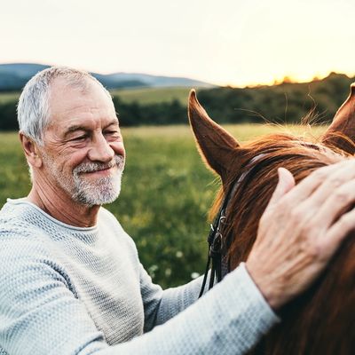 Older man bonding with horse in a grassy pasture with sun setting.