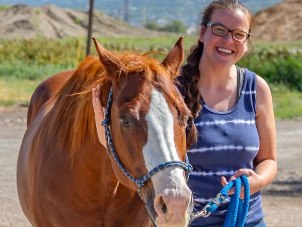 This is a client working with our therapy horse Steve.