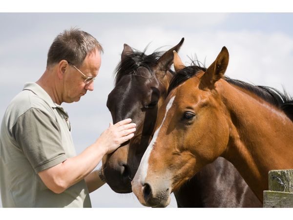This is a veteran connecting with two therapy horses.