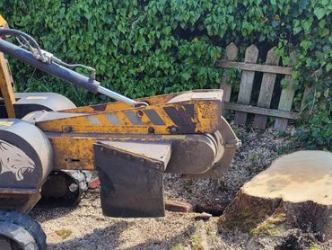 Large tree stump removal in private garden in Bishops Stortford