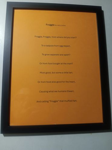Froggie: In orange for fun
$10