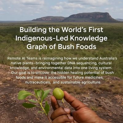 Building the World’s First Indigenous-Led Knowledge Graph of Bush Foods
Remote AI Teams is reimagin