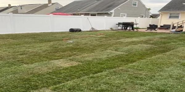 Freshly laid sod forming a green backyard lawn.