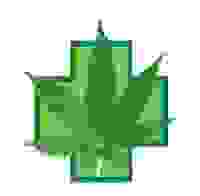 image21