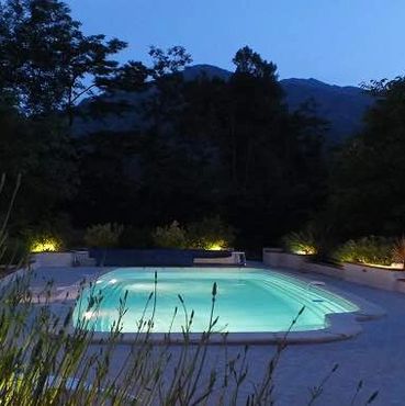lavender surrounding pool