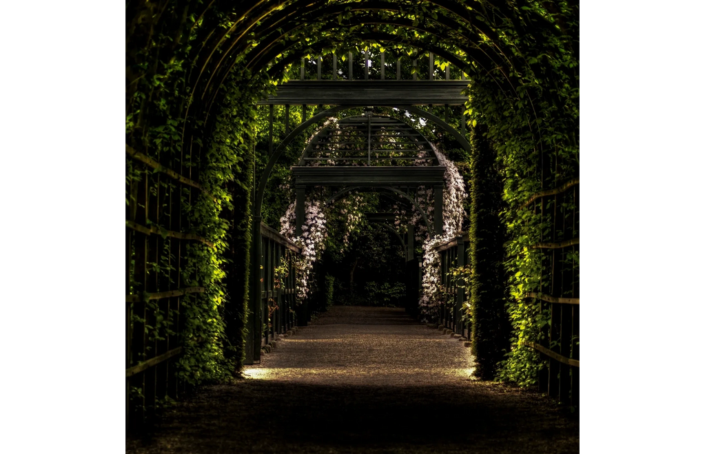 A long tunnel of iron scaffolding is completely covered in ivy, with no end in sight. Only the dark.