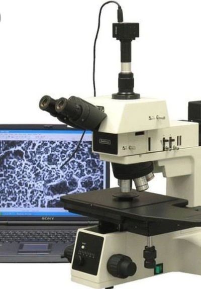 Blood test for oxidative  stress and Electromagnetic Radiation stress
