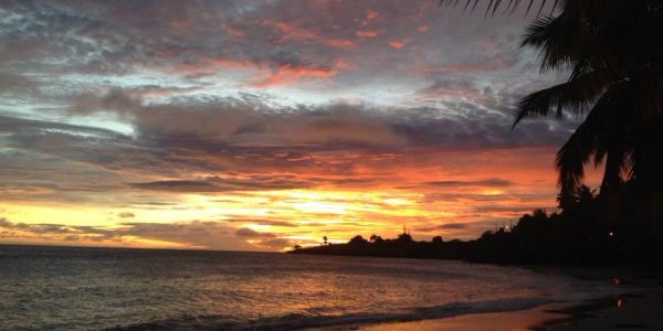 Beach sunset with colorful clouds and palm trees.