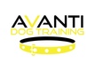 Avanti Dog Training