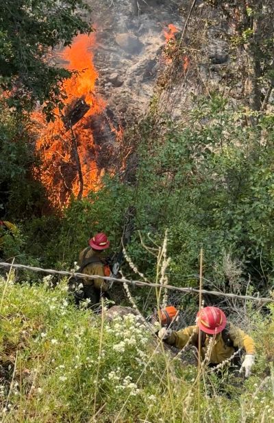 Firefighters combating a raging wildfire in a forested area.