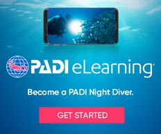 PADI eLearning. PADI Night Diver course
