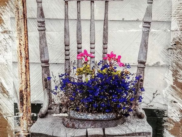 Rustic chair with vibrant wildflowers by Kelly cushion, photography, capturing authentic beauty and