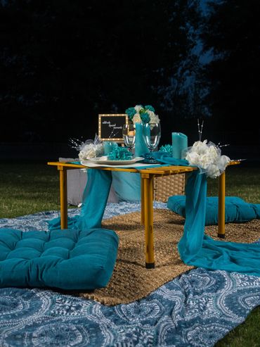 Romantic bespoke picnic experience in downtown Atlanta. Indoor or Outdoor picnic set up.