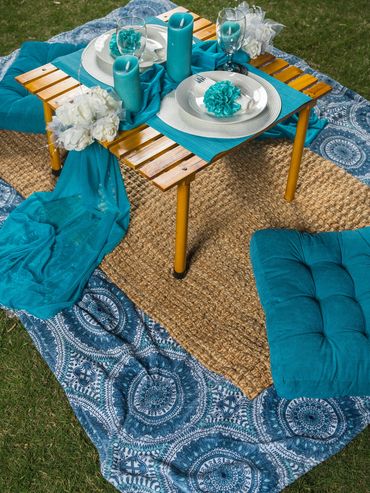 Luxury picnics Atlanta at Piedmont Park.