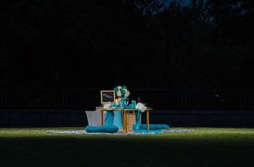 Romantic Picnic Experiences in Atlanta provided by Atlanta Picnic Peach at Piedmont Park.