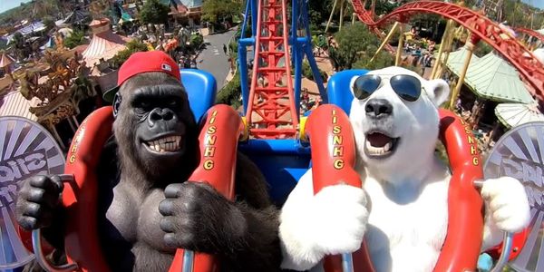 Animated gorilla and polar bear enjoying a roller coaster ride at an amusement park.