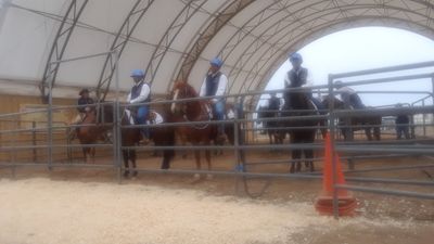 WILD MUSTANGS TRAINED FOR APPROX. 100 DAYS BY PRISONERS AT THE RIO COSUMNES CORRECTIONAL FACILITY