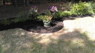 A garden bed with potted flowers and fresh mulch in a sunny yard.