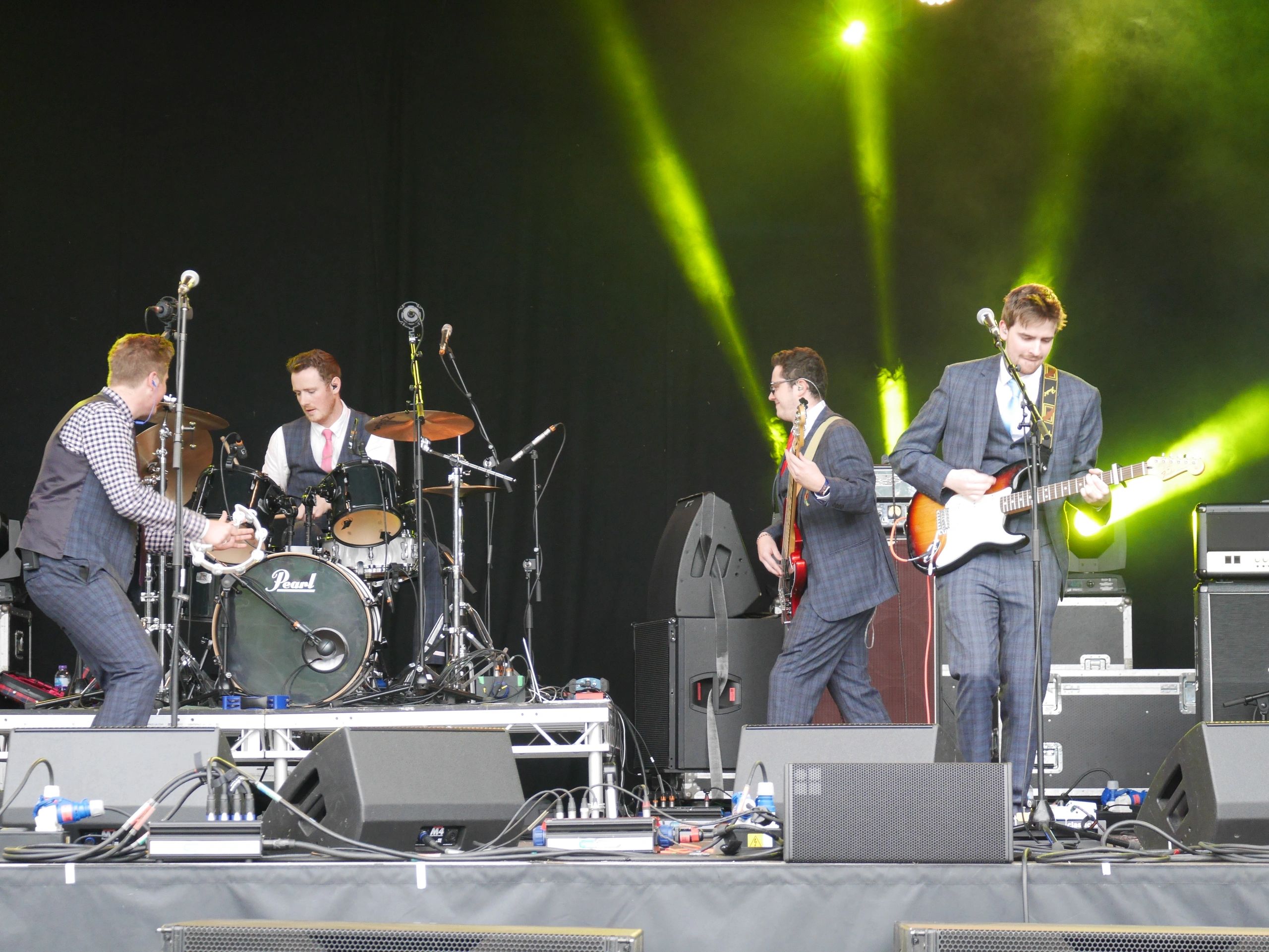 Chameleon Lady Band