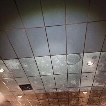 Ceiling tiles with variations in color and lighting. Before and After.