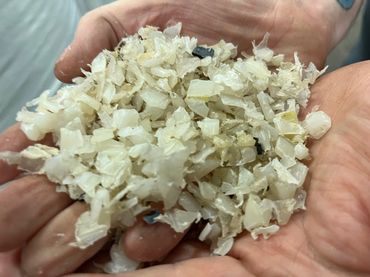 Close-up of hands holding translucent plastic flakes with a few black pieces.