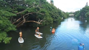 A rope swing on the Anahulu river