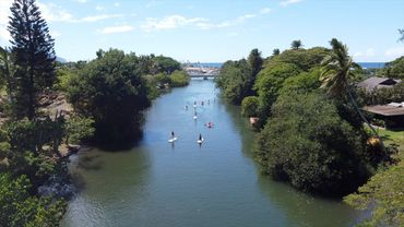drone shot of paddle boarders and Rainbow Bridge on the Anahulu river