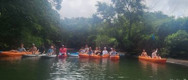 A large group of kayakers on the Anahulu river in Haleiwa