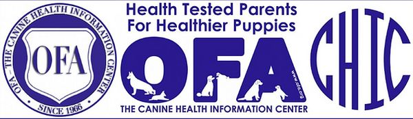 OFA Health Tested Parents for Healthier Puppies CHIC