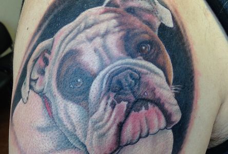 Amazing dog portrait tattoo by Guf