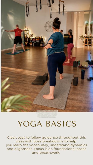 Yoga basics class with pose guidance.