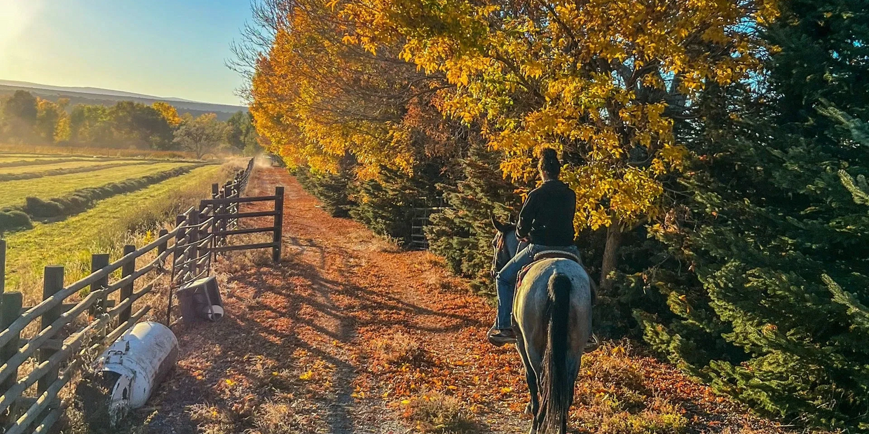 Horseback rider riding into a fall sunset.
