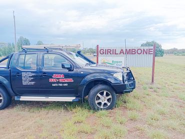 Black pest control truck parked near Girilambone town sign.