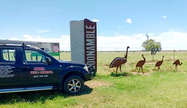A pest control vehicle parked near a sign and metal emu sculptures in a rural field.